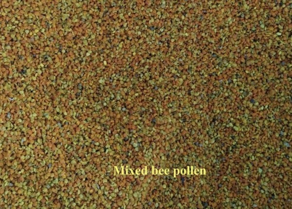 bee pollen