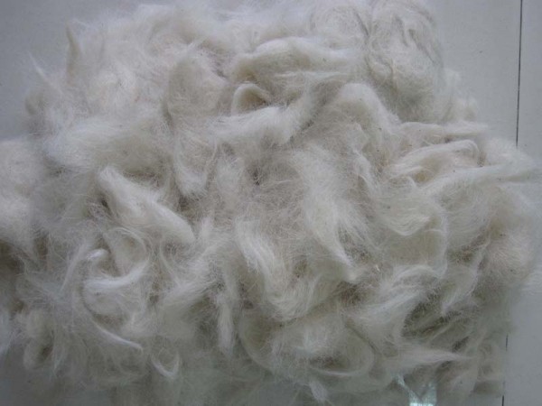 white soft goat hair combings