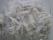 white soft goat hair combings