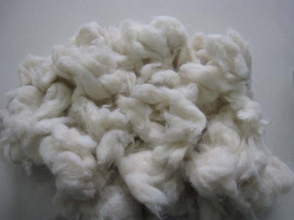 white wool noils 1